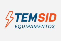 branding_temsid_logo